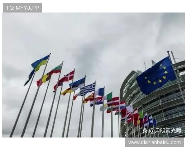 欧洲地区用户在欧博登录时遇到的地区限制问题及解决方案